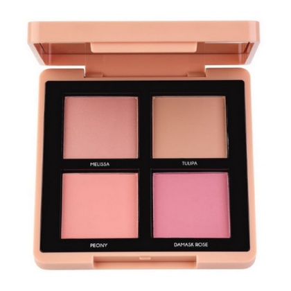 ТФ МАЕСТРО АКАДЕМИ РУЖ 355-